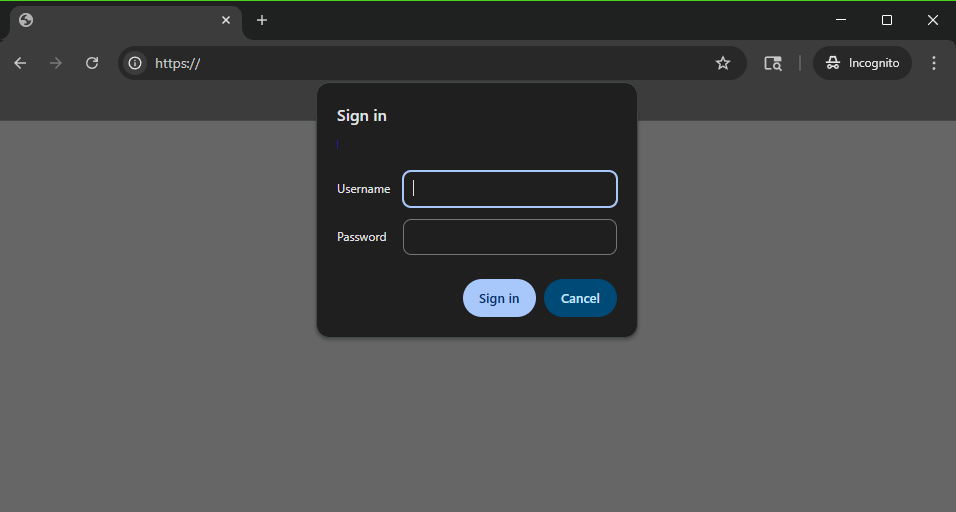 Basic Authentication Login Page
